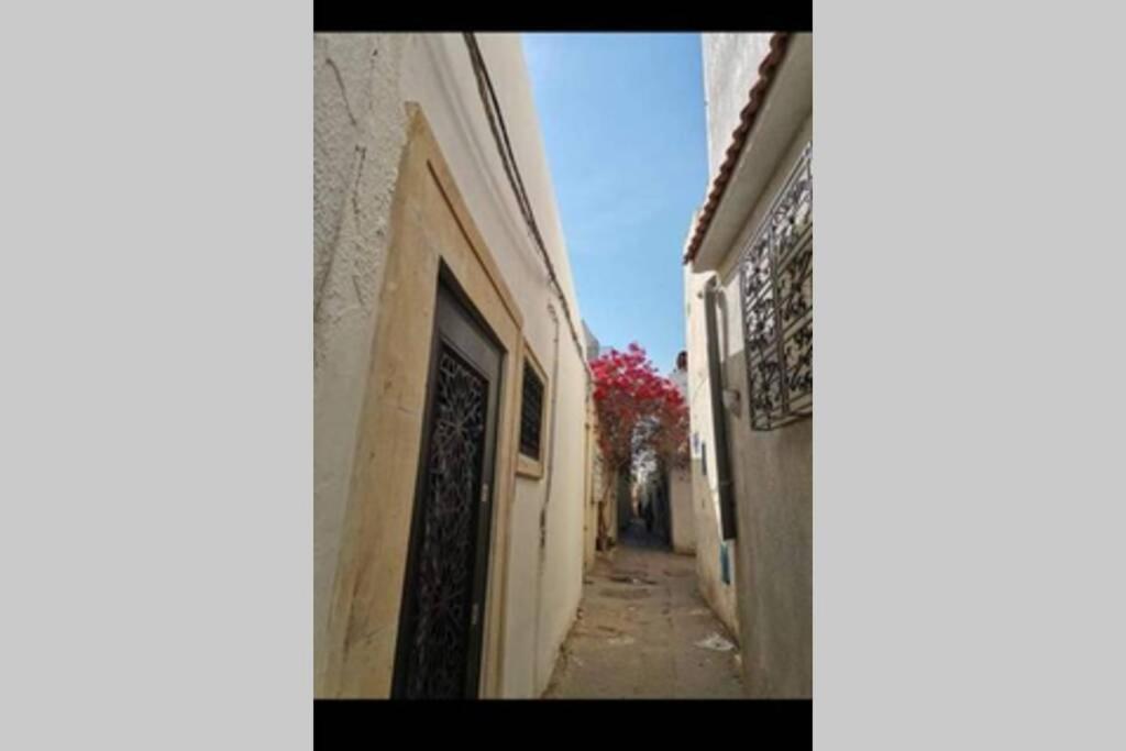 Dar El Halfaouine Διαμέρισμα Τύνιδα Εξωτερικό φωτογραφία
